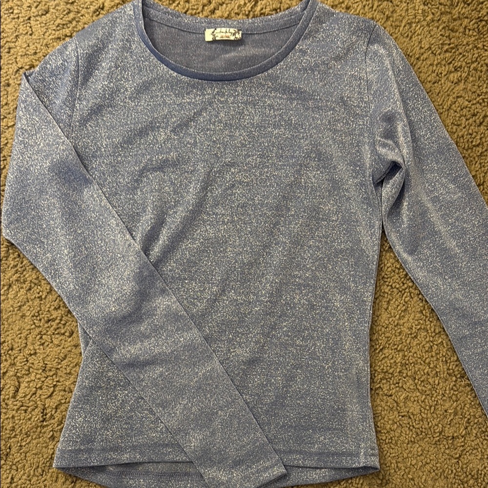 Free People Blue Long Sleeve Mesh/Glitter Top